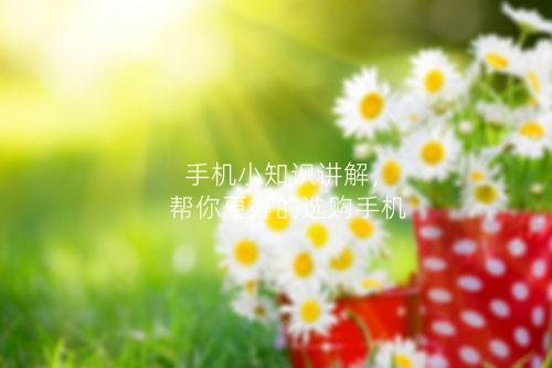 手机小知识讲解，帮你更好的选购手机