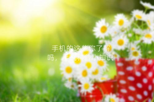 手机的这些你了解吗，手机科普小知识