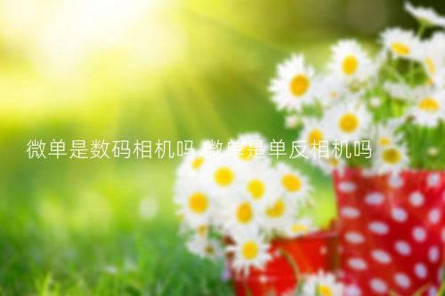 微单是数码相机吗,微单是单反相机吗