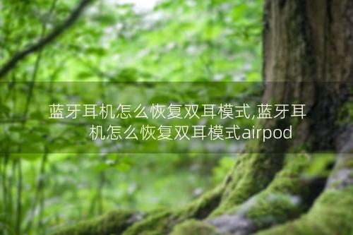 蓝牙耳机怎么恢复双耳模式,蓝牙耳机怎么恢复双耳模式airpods
