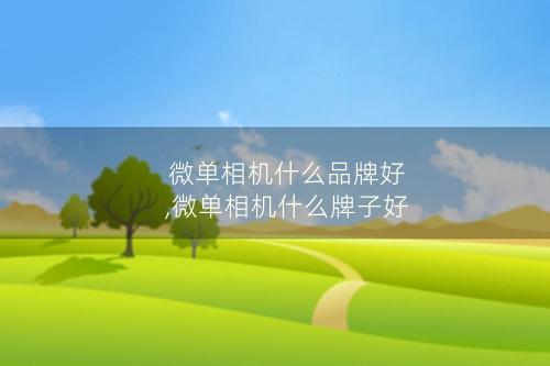 微单相机什么品牌好,微单相机什么牌子好