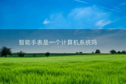 智能手表是一个计算机系统吗
