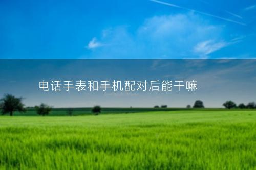 电话手表和手机配对后能干嘛