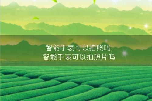 智能手表可以拍照吗,智能手表可以拍照片吗