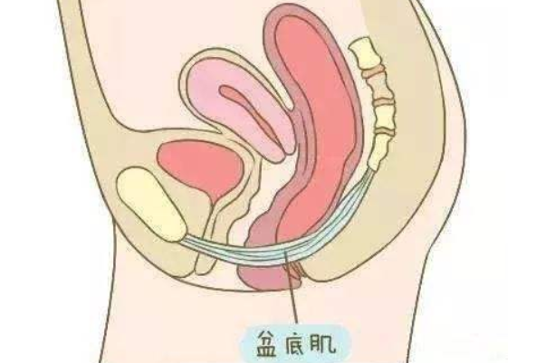 凯格尔运动害了多少人:导致分娩困难(用错方法起副作用)