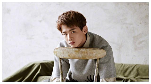 粉丝名为动物的明星有哪些？鹿晗麋鹿，白敬亭白鸽，赵丽颖萤火虫