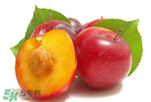 三华李可以放多久？三华李可以冷藏吗？
