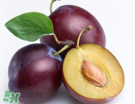 三华李可以放多久？三华李可以冷藏吗？