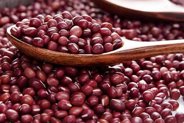 红豆为什么会生虫 红豆生虫原因是这样 红豆为什么会生虫 红豆生虫原因是这样