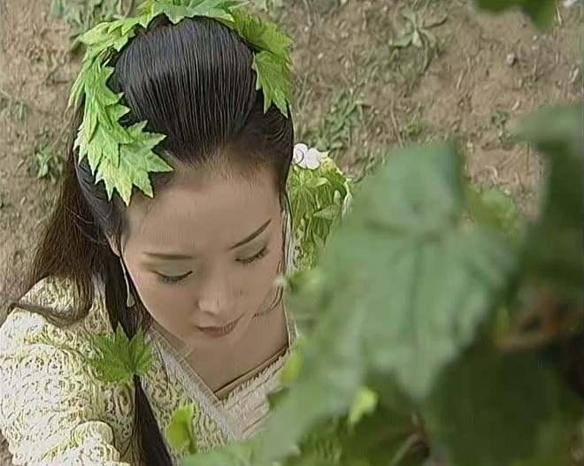 王艳演过的古装美女中，叶子筷子爪子全都插过了，造型撩倒一大片