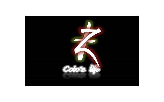 怎样挽回外遇的婚姻挽回老婆，如何挽回外遇，重建婚姻的秘诀？
