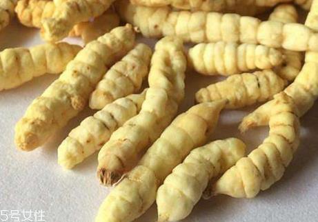 草参泡水喝起什么功效 草参泡水喝起什么功效