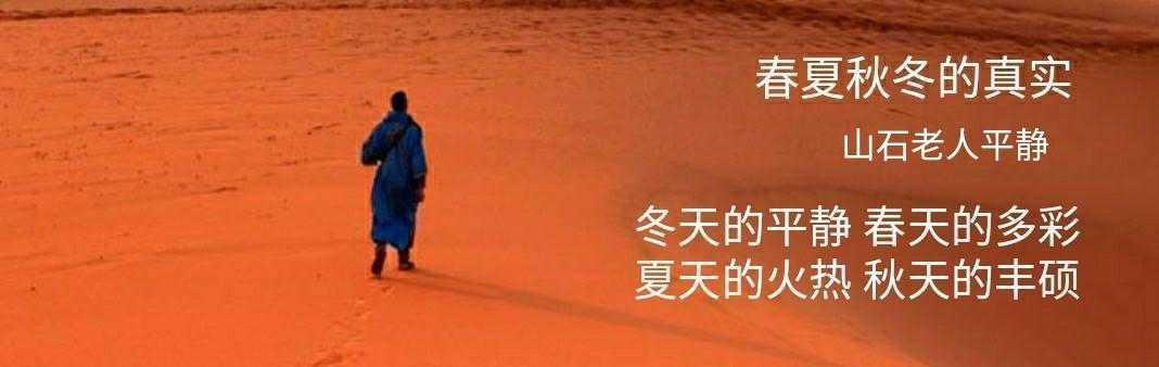 历史第二次鸦片战争简介(历史上的今天事件)(6)