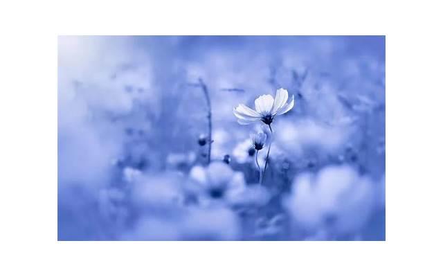 跟对象说的暖心话一段 让对象暖心的一长段话 跟对象说的暖心话一段 让对象暖心的一长段话