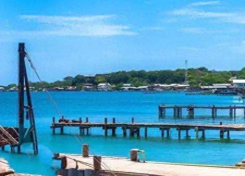 抖音10大最受欢迎的bgm,《Panama》稳居榜首,《勇敢爱》排第二