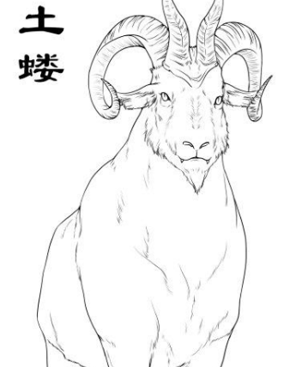 土蝼能否实在存在过?山海经土蝼其型如羊有四角
