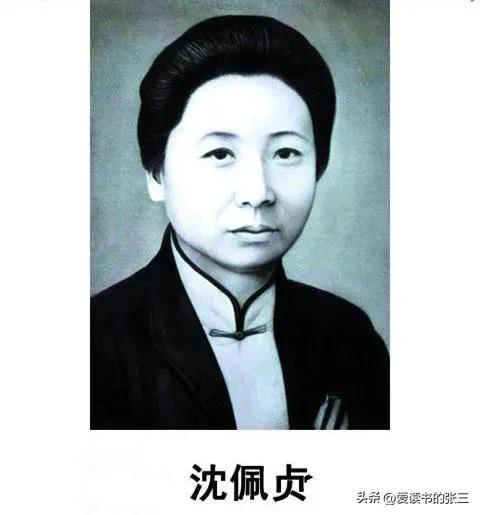 民国沈怡（民国三大女流氓之二沈佩贞一一被冤枉的女权斗士）(1)