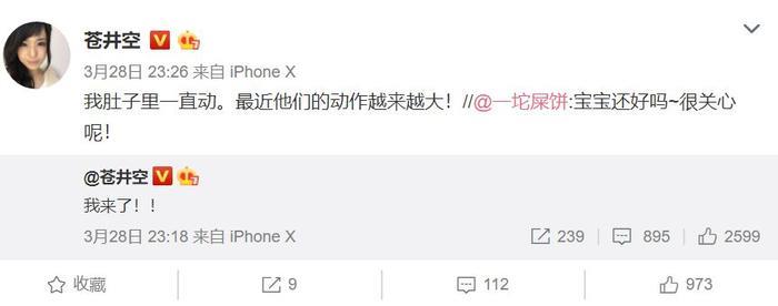 苍井空直播产下双胞胎男孩：“我会努力，成为一位好母亲。”