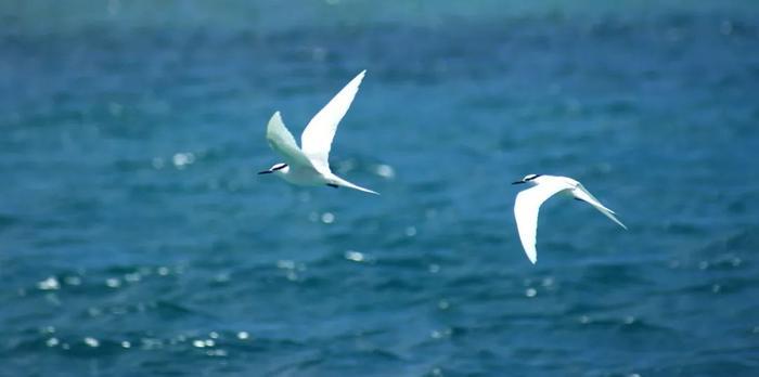 71岁奶奶做起淘宝模特，每天工作12小时拍100多套服装，气质秒杀明星