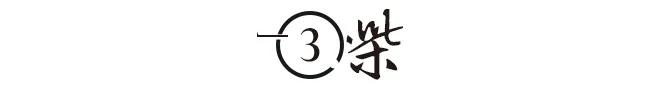 明朝张居正历史评价（首辅张居正为明朝续命100年）(9)