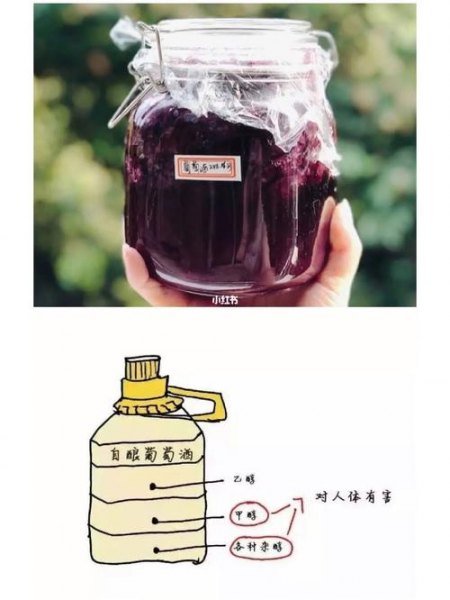 酿红酒的注意事项