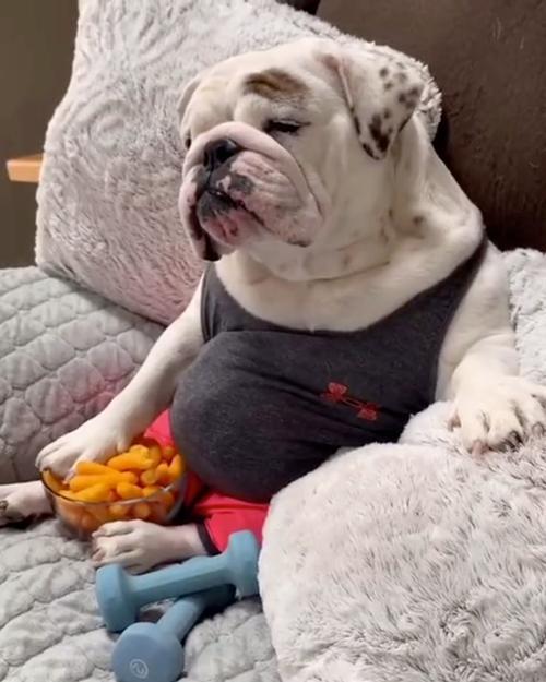 搞笑生活图 搞笑生活图片带字幽默