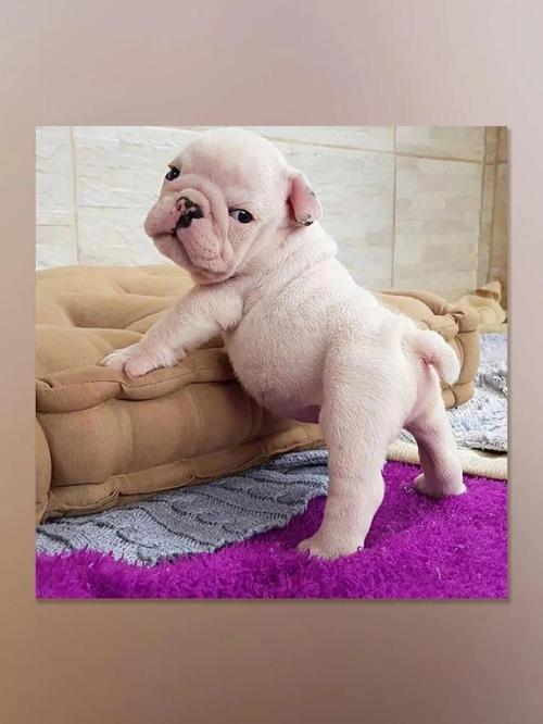 生活幽默风趣图片 生活幽默风趣图片带字