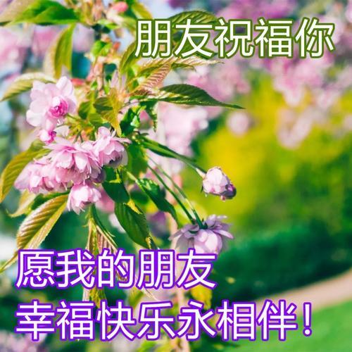 生活快乐的图片唯美 生活快乐图片带字