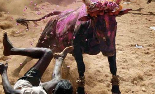 印度值得旅行吗?印度十大陈旧而神奇的典礼