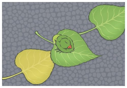 著名导演编剧鸿水炮轰丁真现象,疑似反向蹭热度