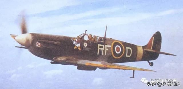 二战各国轻兵器(二战中的十八般兵器)