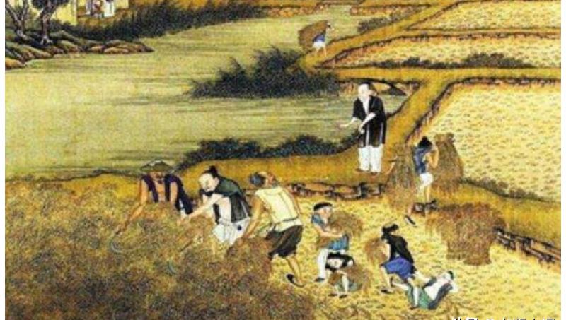 兵马未动粮草先行什么意思(古代打仗粮草的重要性)