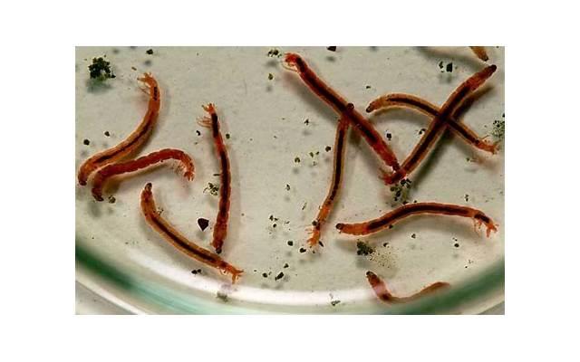 男人出轨怎么办（治男人出轨最好的办法）