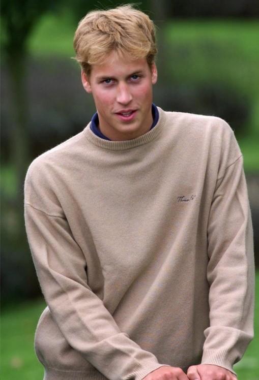 英国王室历史变迁（英王室颜值堪忧）(3)