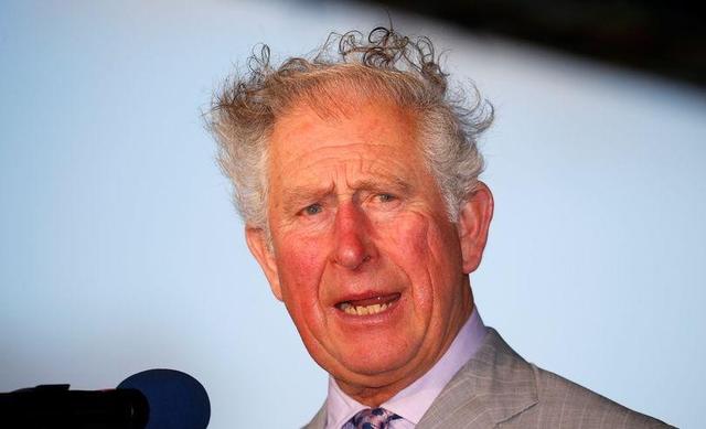 英国王室历史变迁（英王室颜值堪忧）(4)