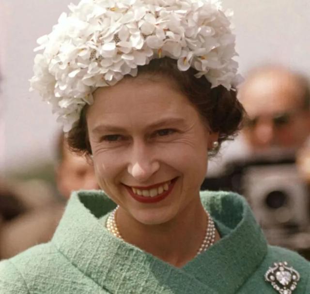 英国王室历史变迁（英王室颜值堪忧）(8)