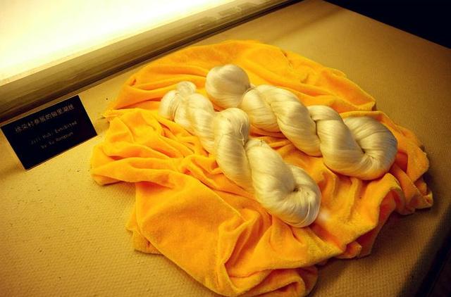 历史上有蒙毅这个人吗（神话最不起眼的山东人蒙毅）(18)