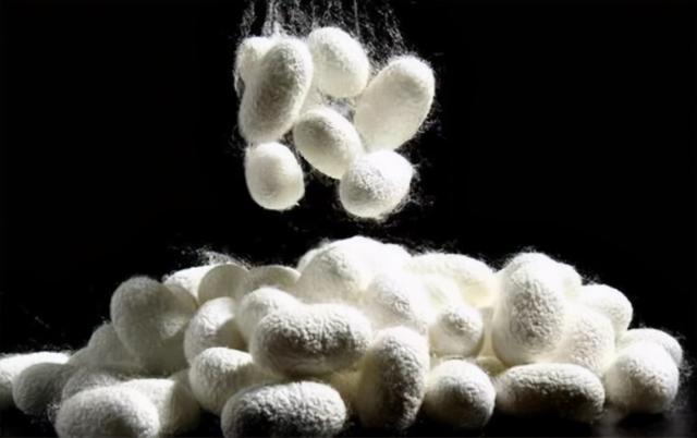 历史上有蒙毅这个人吗（神话最不起眼的山东人蒙毅）(17)