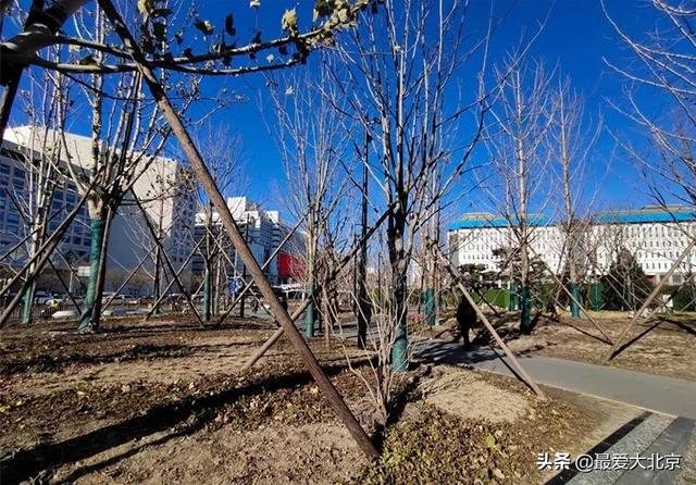 西单商场介绍(西单商场告别历史记忆)(123)