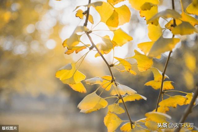 16本历史类书籍推荐(阅读50本历史好书)(3)