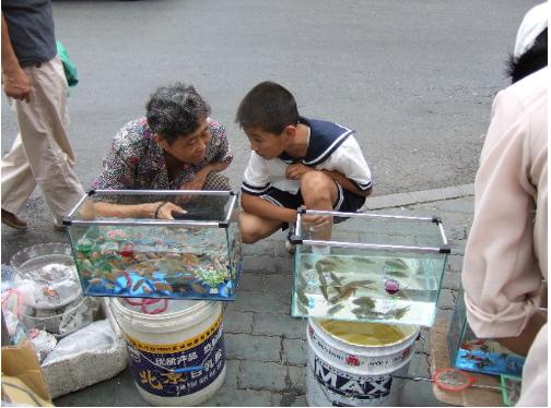 大连历史详细介绍（十五年前的大连掠影）(73)