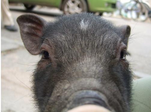 大连历史详细介绍（十五年前的大连掠影）(120)