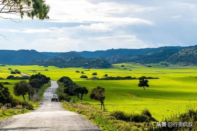 塞浦路斯的历史发展(看一个分裂的国家如何重塑自我)(13)