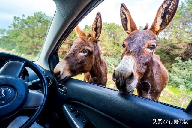 塞浦路斯的历史发展(看一个分裂的国家如何重塑自我)(14)