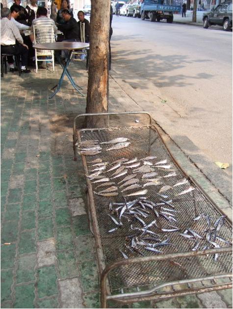 大连历史详细介绍(十五年前的大连掠影)(78)