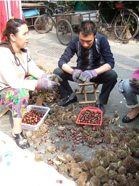 大连历史详细介绍(十五年前的大连掠影)(52)