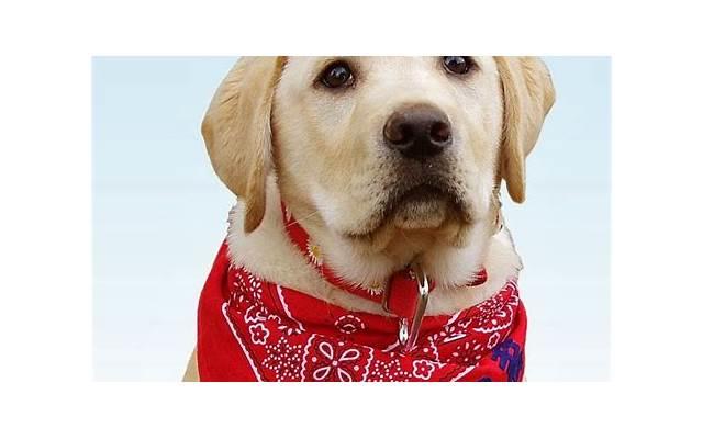 给56岁的男人洗裤衩,倒贴白睡,你该是多无聊? 给56岁的男人洗裤衩,倒贴白睡,你该是多无聊?