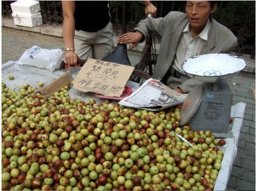 大连历史详细介绍（十五年前的大连掠影）(51)