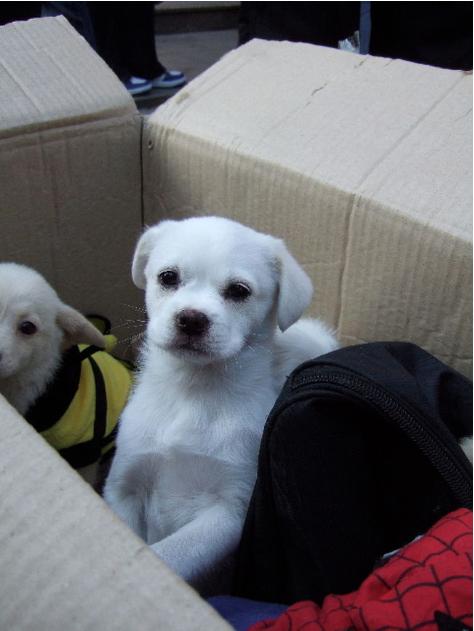 大连历史详细介绍(十五年前的大连掠影)(72)