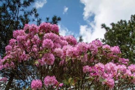 ​女子偷奢侈品后发朋友圈炫耀引发社交媒体热议和谴责